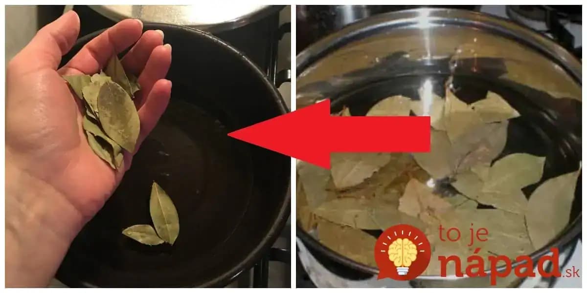 Toto sa stane, ak ponoríte obyčajný bobkový list do olivového oleja: Účinok vás ohromí!